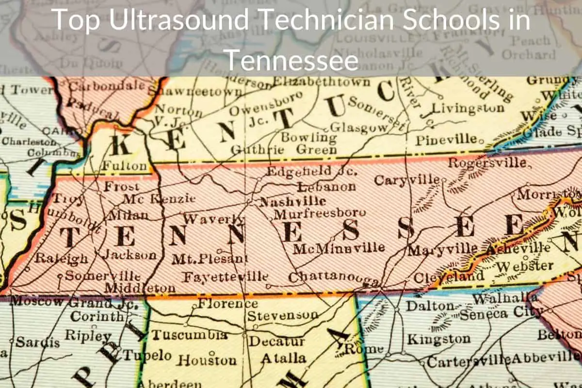 Top Ultrasound Technician Schools in Tennessee