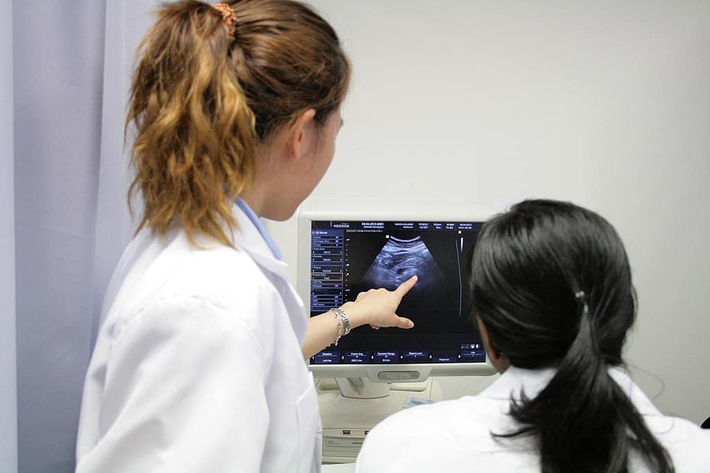 two woman looking at a screen